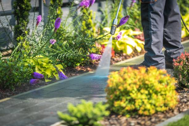 Best Machinery and Equipment Cleaning  in Haddon Heights, NJ